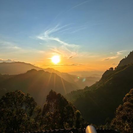 לינה וארוחת בוקר אלה Pleasant Peak מראה חיצוני תמונה